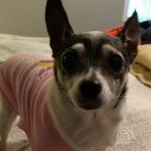 Meet your Posher, Sherrie